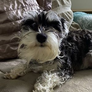 Meet your Posher, Bianca